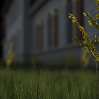 DOF.003