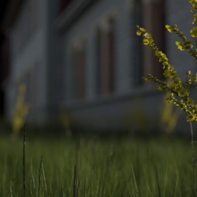 DOF.003